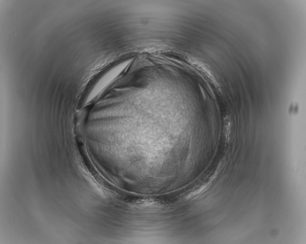 X0000089910589200707201758
