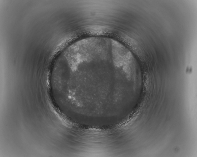 X0000089910590200707201758
