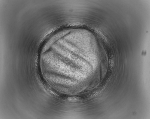 X0000089910591200707201758
