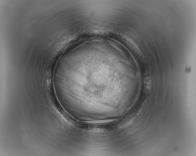 X0000089910593200707201758