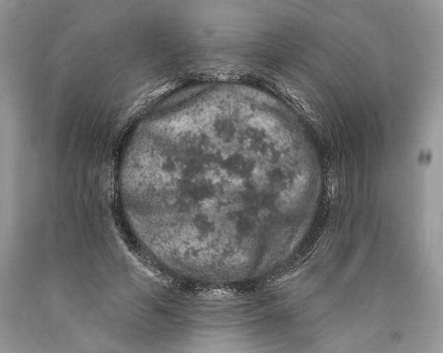 X0000089910594200707201758