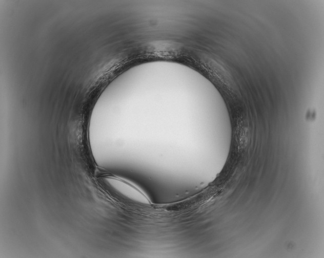 X0000089910595200707201758