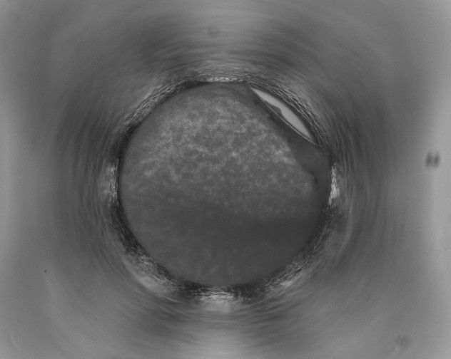 X0000089910598200707201758