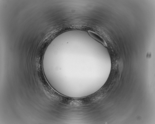 X0000089910599200707201758