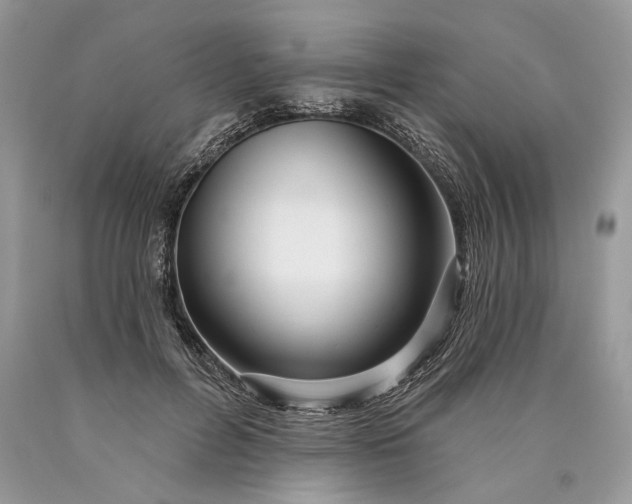 X0000089910600200707201758