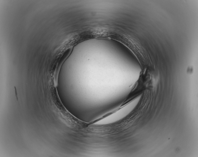 X0000089910601200707201758