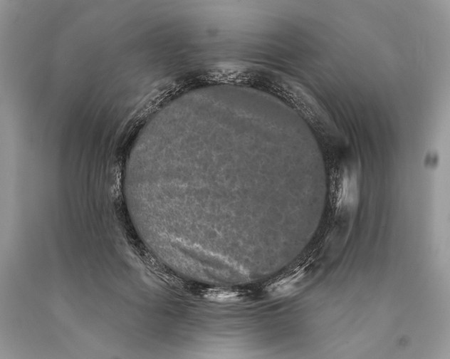 X0000089910602200707201758