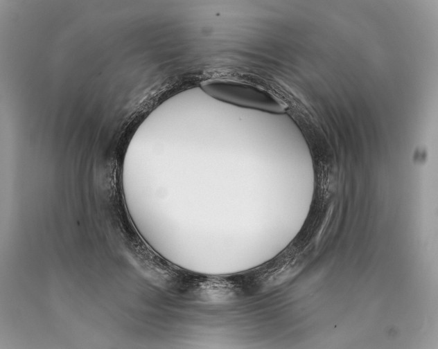 X0000089910603200707201758