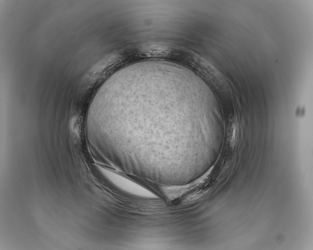 X0000089910604200707201758