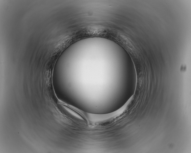 X0000089910605200707201758