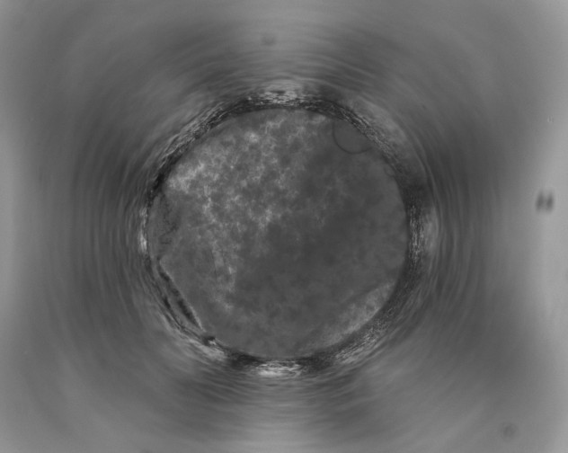 X0000089910606200707201758
