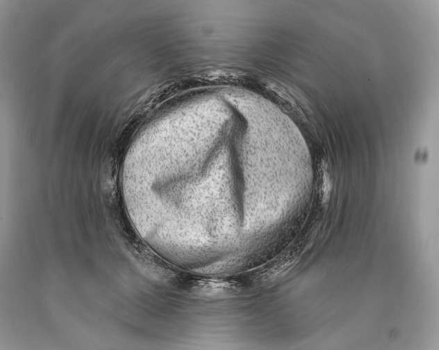 X0000089910607200707201758