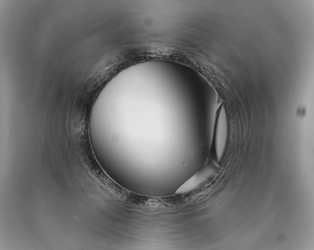 X0000089910608200707201757