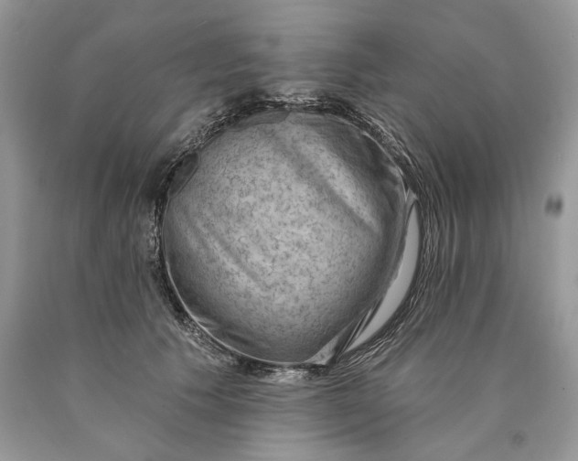 X0000089910609200707201757