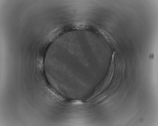 X0000089910610200707201757