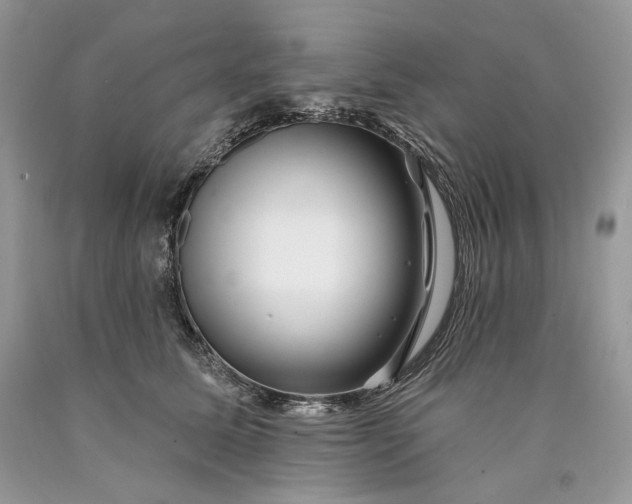 X0000089910611200707201757
