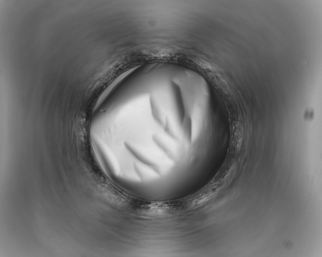X0000089910612200707201757
