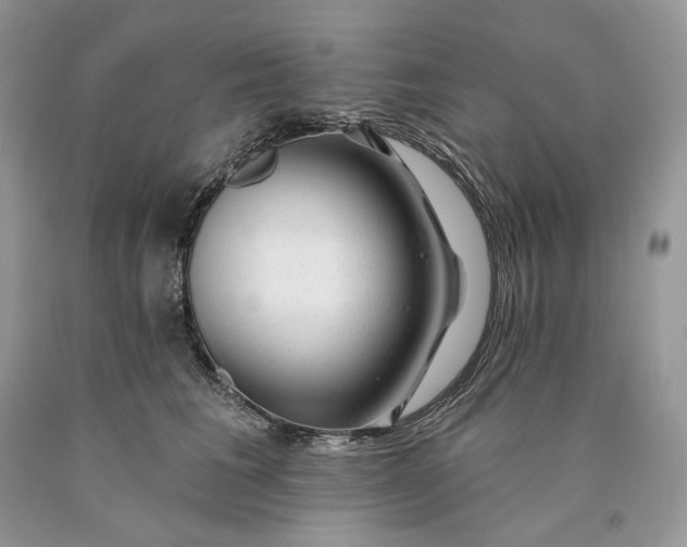X0000089910613200707201757