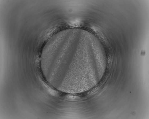 X0000089910614200707201757