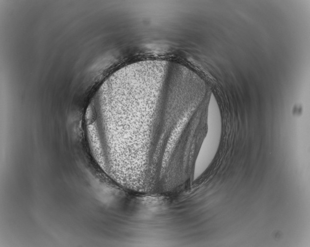 X0000089910615200707201757