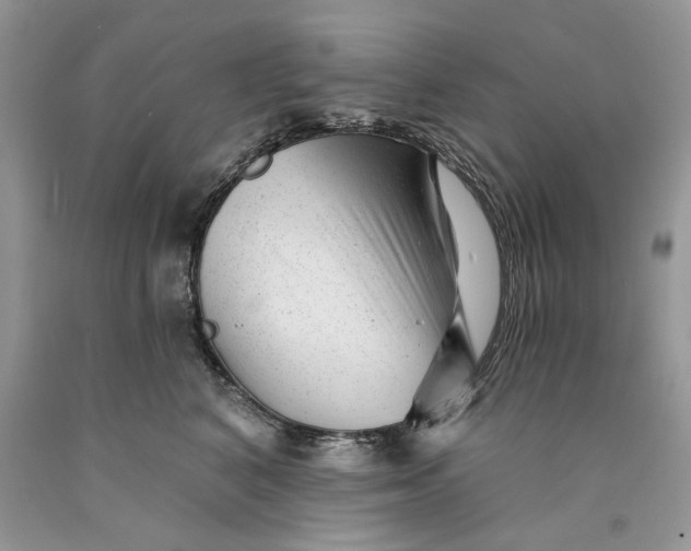 X0000089910616200707201757