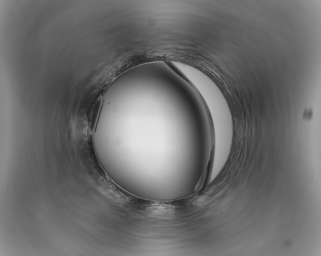 X0000089910617200707201757