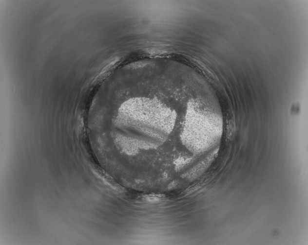 X0000089910618200707201757