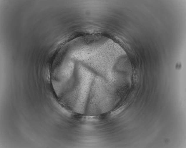 X0000089910622200707201757