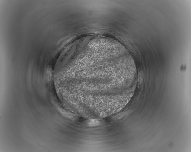 X0000089910623200707201757