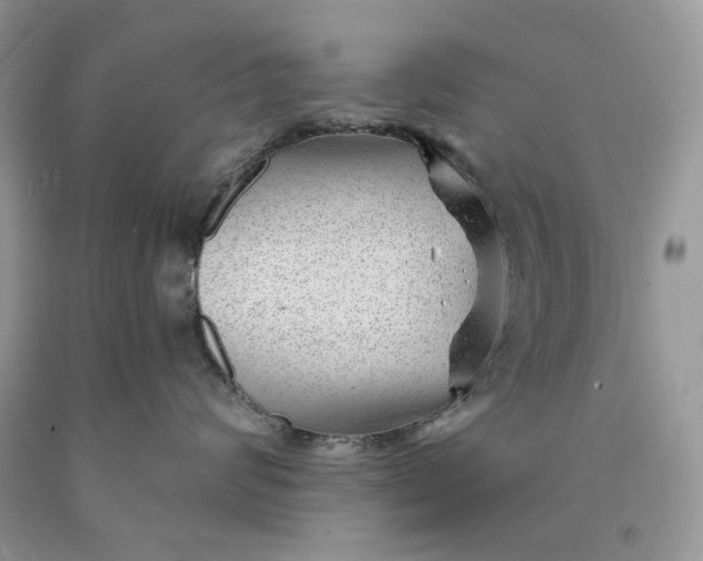 X0000089910624200707201757