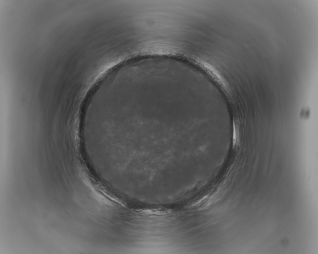 X0000089910627200707201757