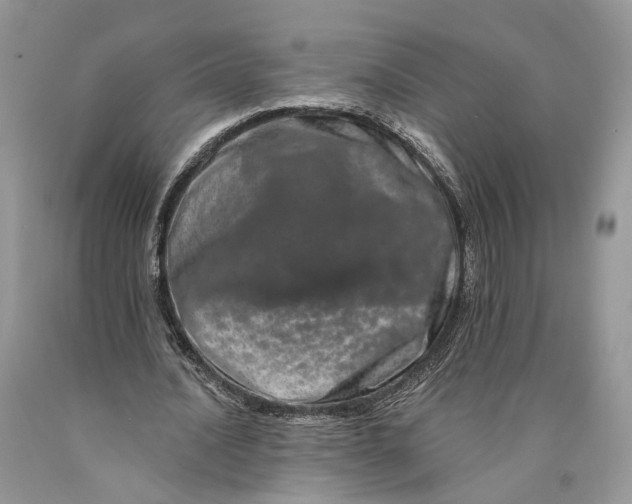 X0000089910628200707201757