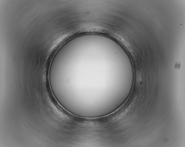 X0000089910629200707201757