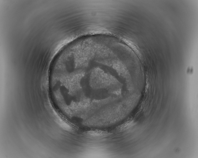 X0000089910630200707201757