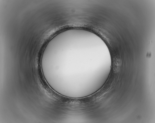 X0000089910631200707201757