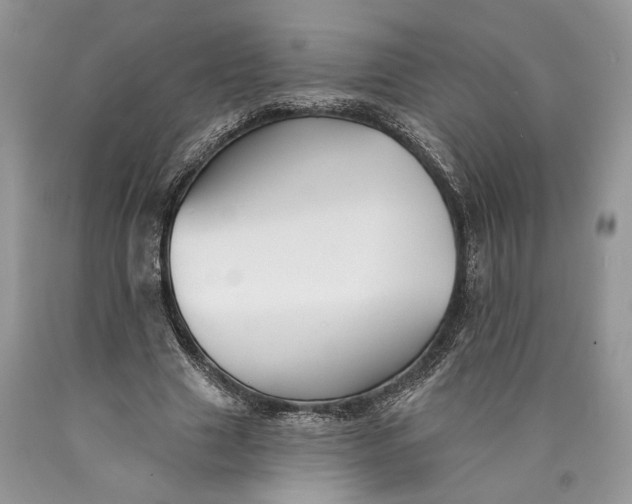 X0000089910633200707201757