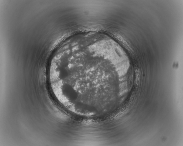 X0000089910634200707201757
