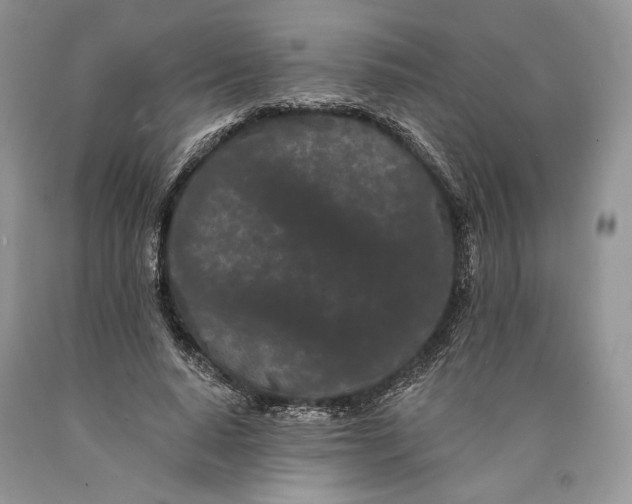 X0000089910640200707201757