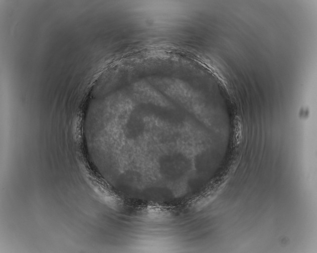 X0000089910641200707201757