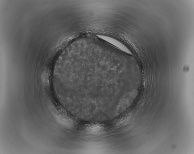 X0000089910643200707201757