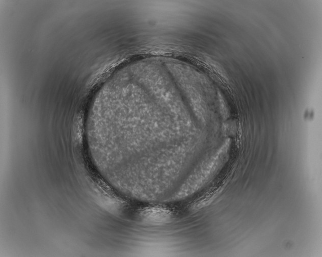 X0000089910644200707201757