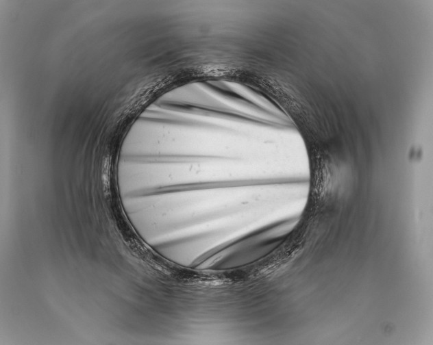 X0000089910646200707201757