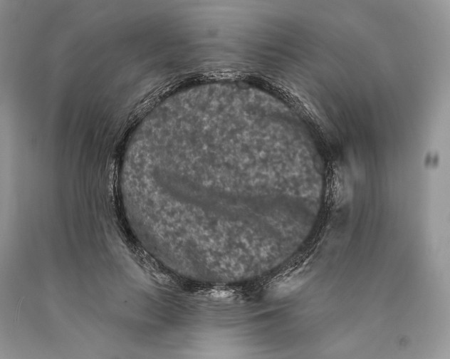 X0000089910647200707201757