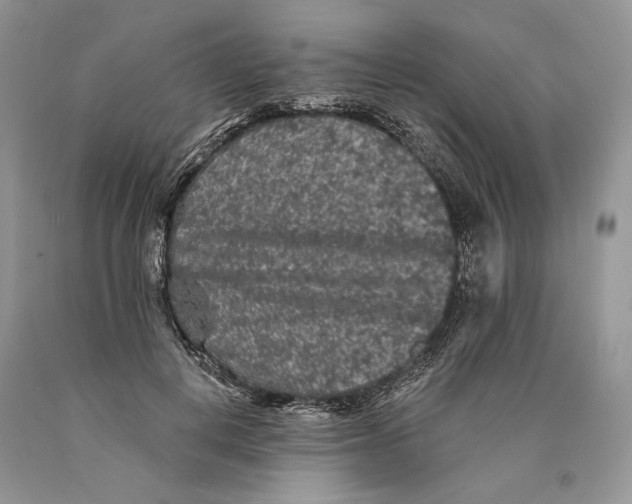 X0000089910648200707201757