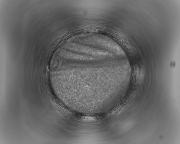 X0000089910649200707201757