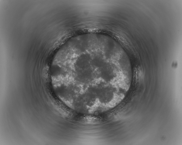 X0000089910650200707201757