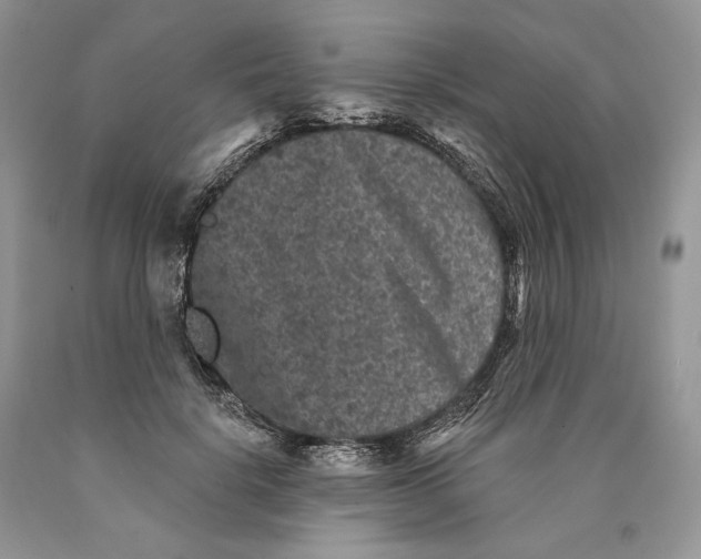 X0000089910652200707201757