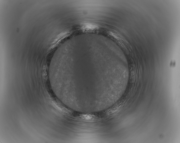 X0000089910654200707201757