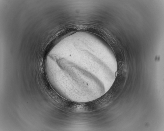 X0000089910655200707201757