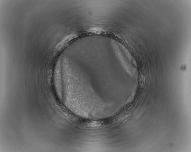 X0000089910656200707201757